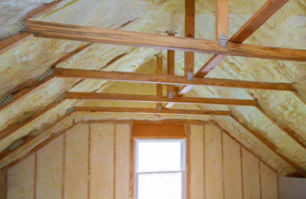 Best Insulation Maintenance and Repair in Wilton Manors, FL