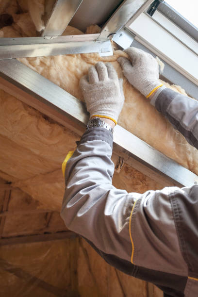 Best Types of Insulation in Wilton Manors, FL