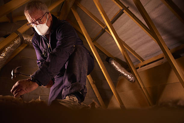 Best Insulation Installation Services in Wilton Manors, FL